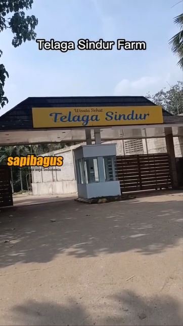 Telaga-Sindur-Farm